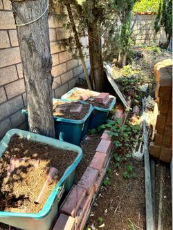 Free organic compost