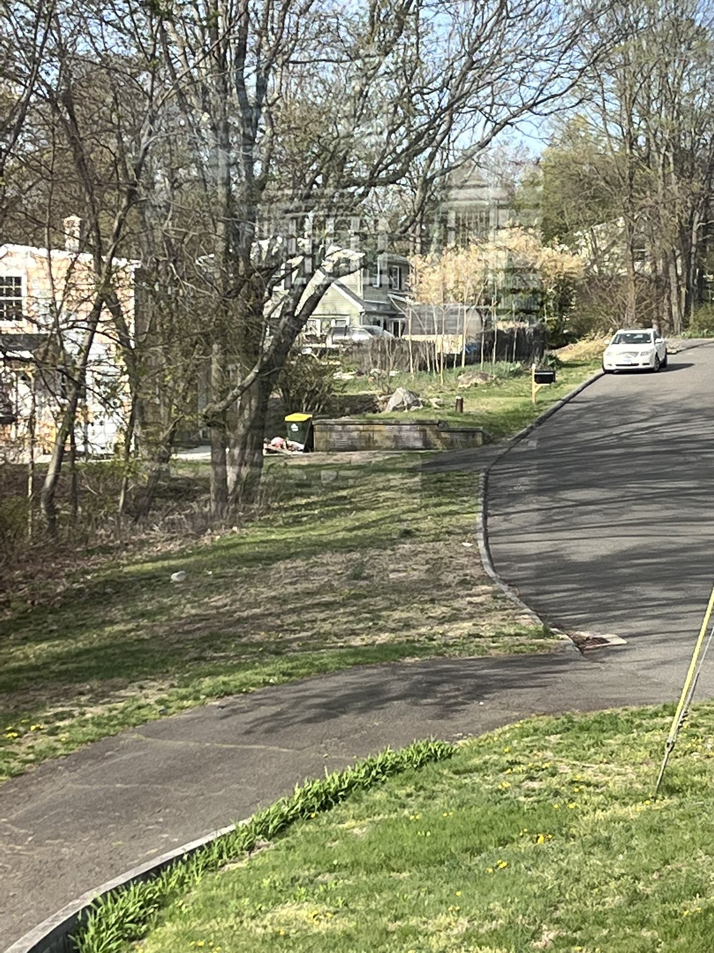 Large Trees and boulders