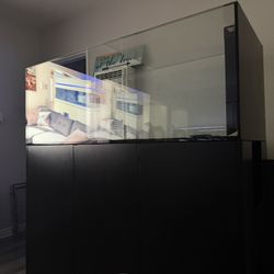 Fish Tank Red Sea 650