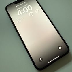 Unlocked iPhone 13 Pro Max – 128GB – Fully Functional
