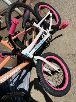 Nishiki Kids bike