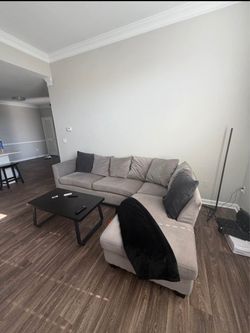 Grey sectional couch