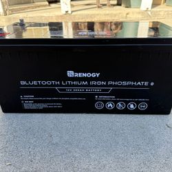 Renogy 200Ah 12v LiFePO4 Battery