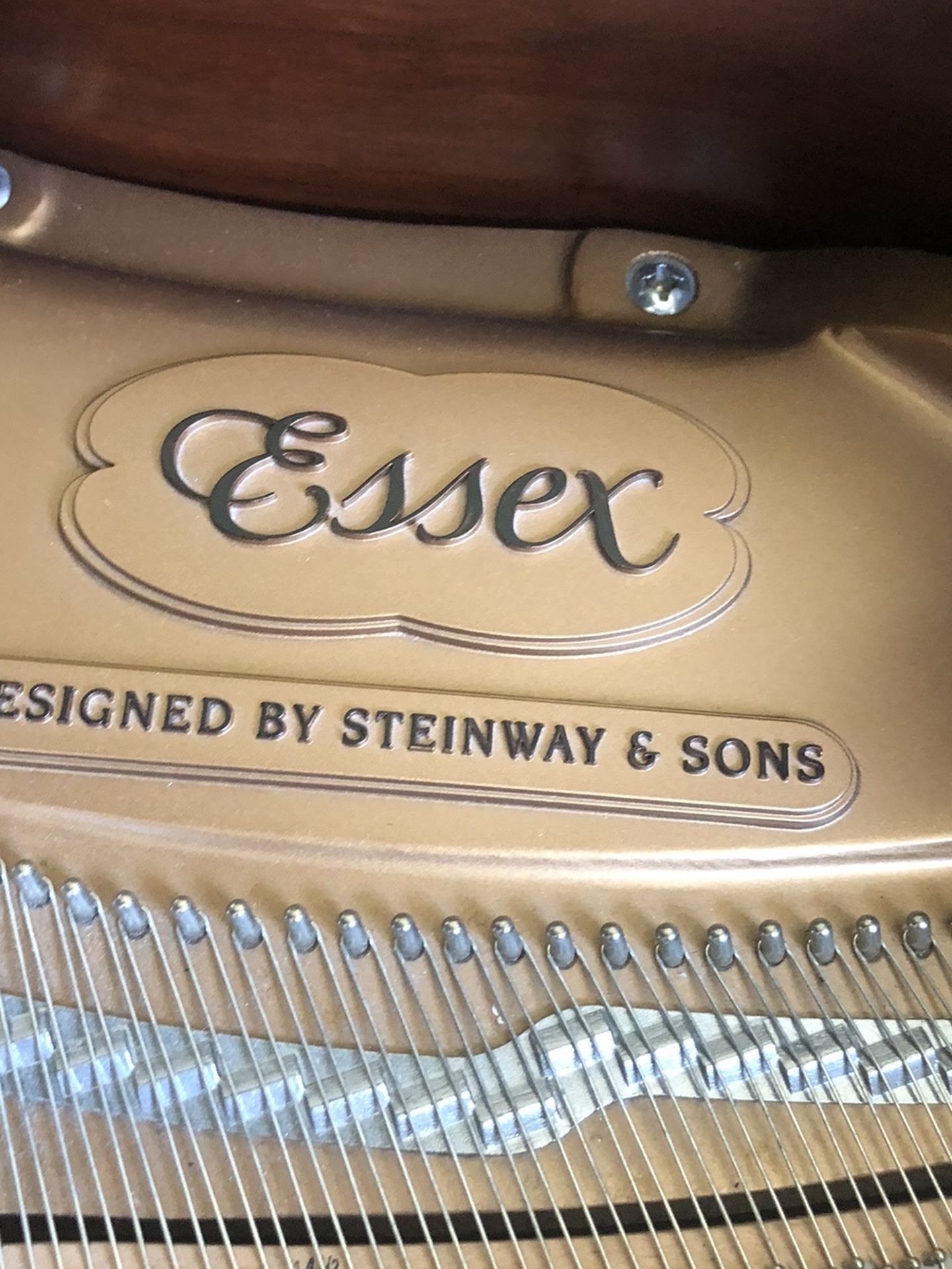 Essex Baby Grand Piano Like New With QRS Player System