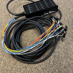 Livewire Advantage 16x4 Snake with XLR/TRS inputs and TRS Returns 50 ft. Black

