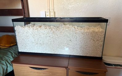 55 Gallon Tank