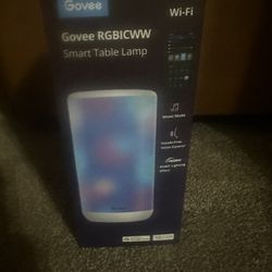 Govee Table Lamp ~Brand New Still In Box!!!