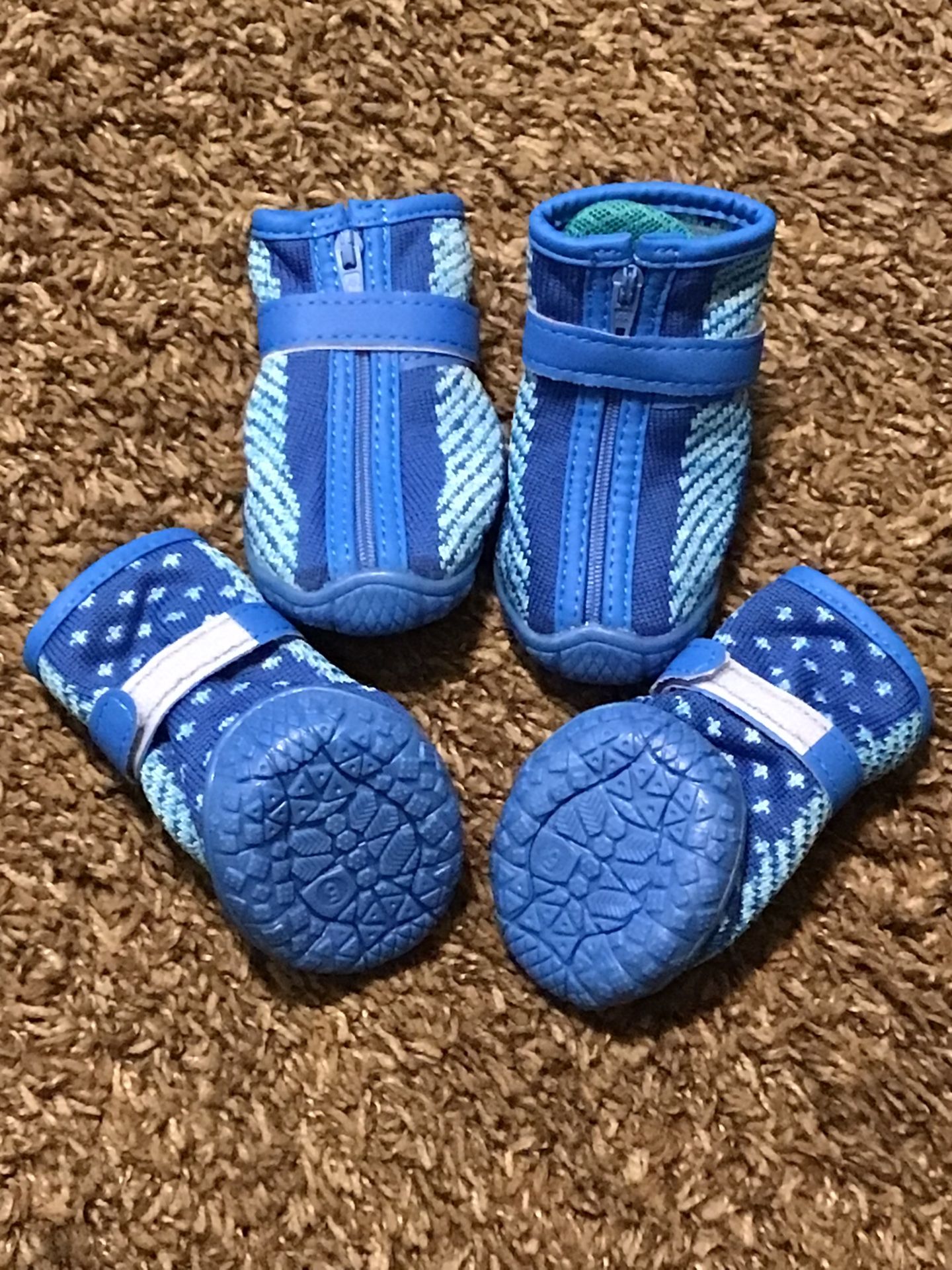 Blue Dog Shoes Size 5