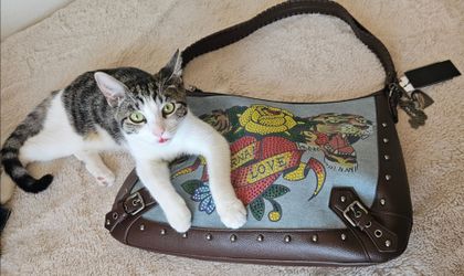 Ed Hardy Vintage Brown Graphic Shoulder Bag w/ Rhinestones