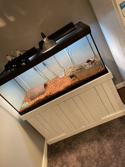 Tank And Stand Forsale
