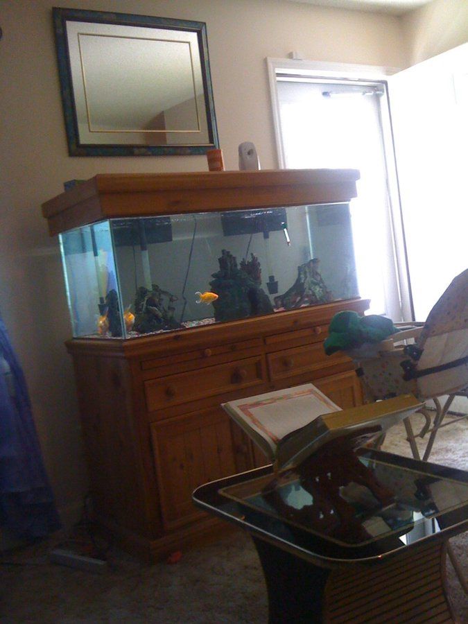 Fish Tank For Sale 