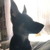 Julie