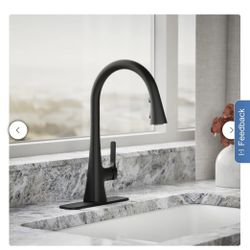 Kohler Guild Pull-down Kitchen Sink Faucet
