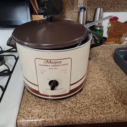 Monsey Gourmet Cooker-fryer