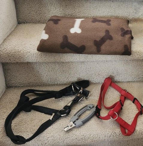 🌿🐕Asst Dog Items🐕🌿