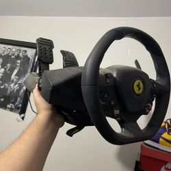 Thrust Master Steering Wheel 
