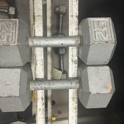 25 Lb Dumbell