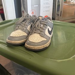 Dunks, Size 5.5