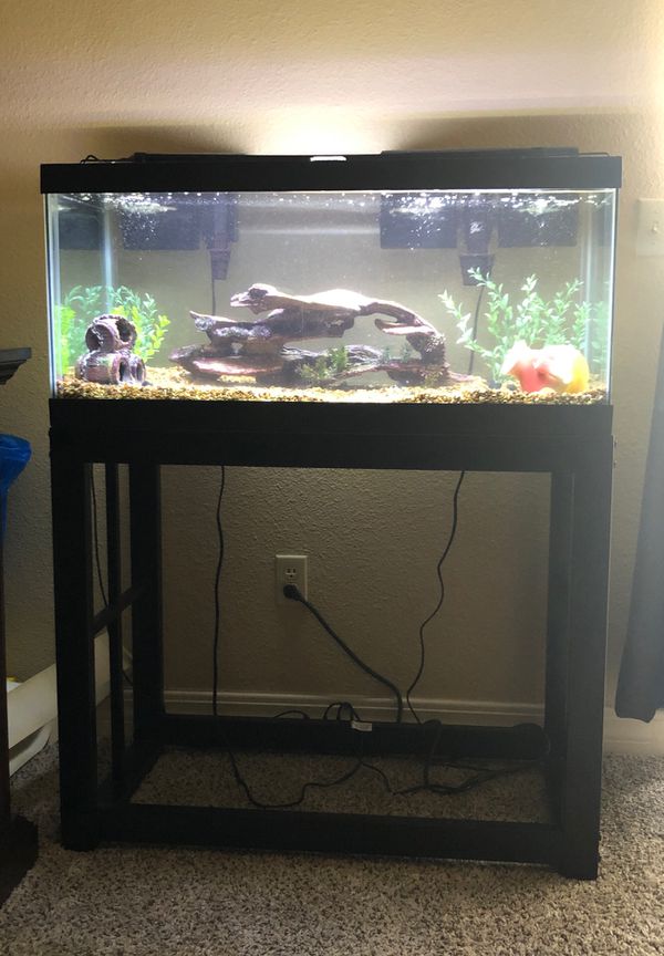 40 gallon fish tank with stand, filter, light and