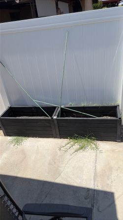 Planter Boxes (2)