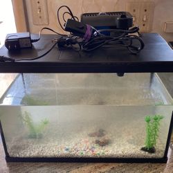 Fish Tank Or Animal Tank In