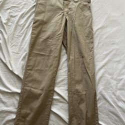 Dickies Slim Fit Pants 