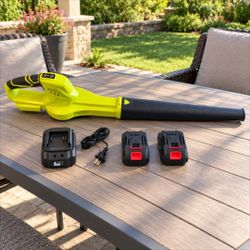 Blower with 2 Batteries and Charger