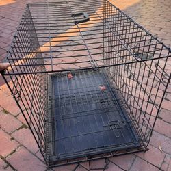 Dog Crate Bundle 🐾 