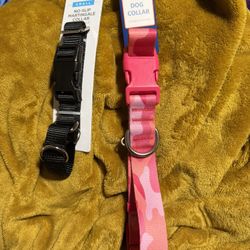 Dog Collars 