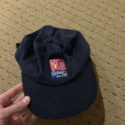 Rosie ODonnell Hat
