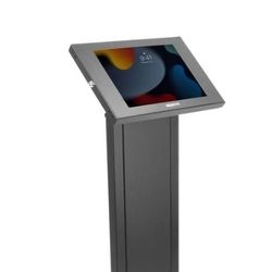 Anti-Theft IPAD "Mount-It" Stand