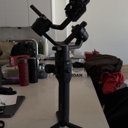 Ronin Camera Rig