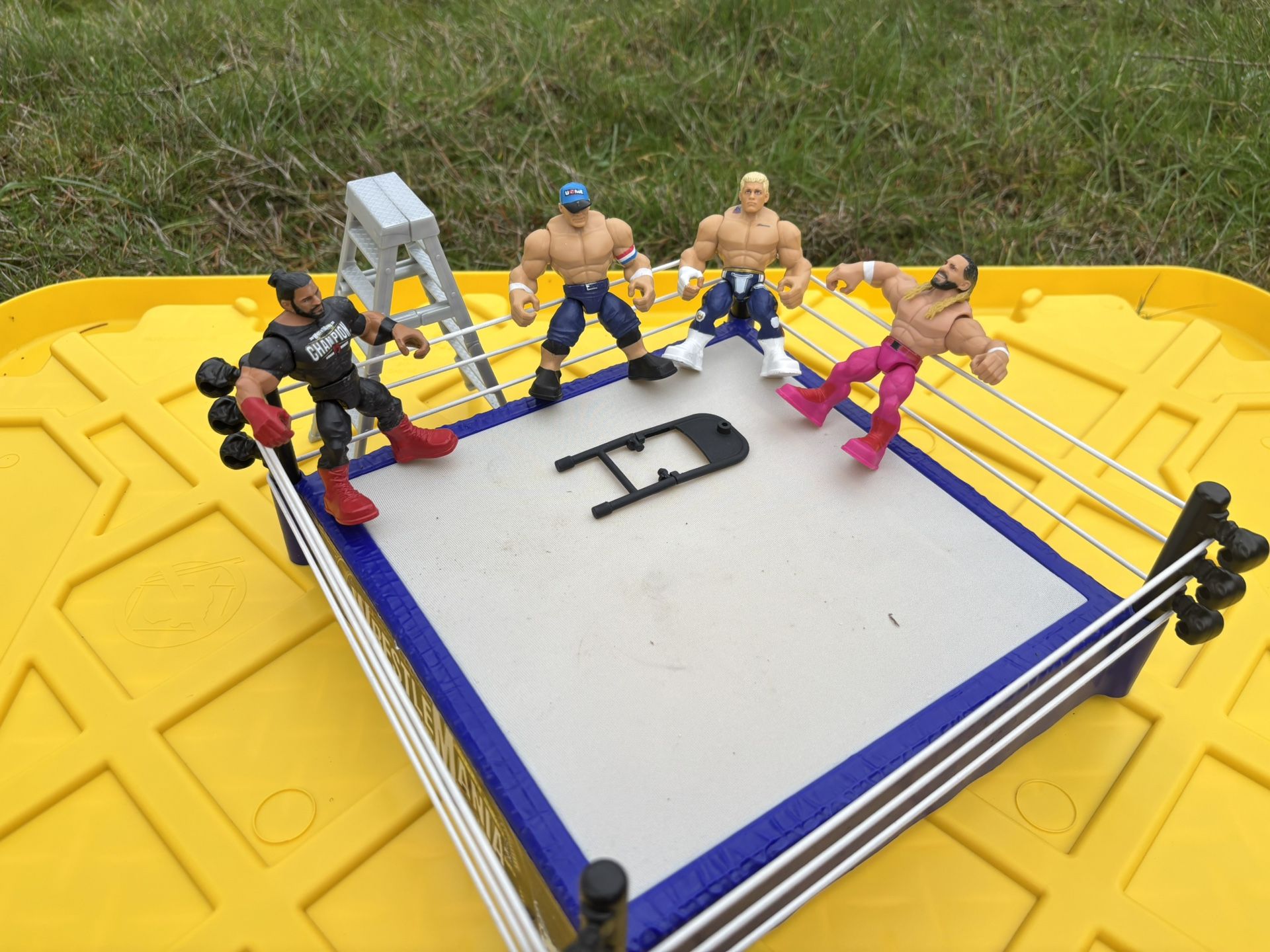 WWE Playset