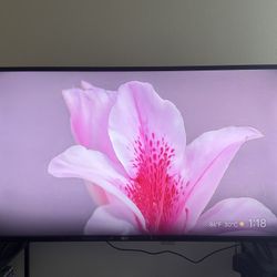 55” Philips 4K A1 W/ GoogleTV