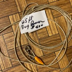 25 Ft Dog Runner