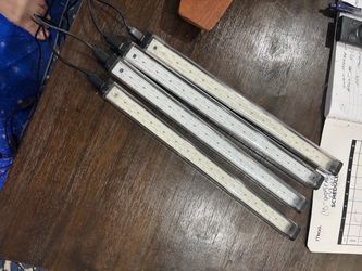Black Light Room Transfirmation Kit