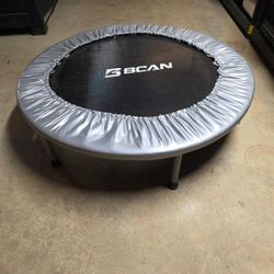 Adult Trampoline 