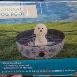 Dog Pool