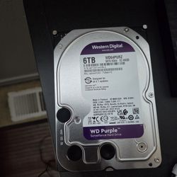 WD 6TB SURVEILLANCE HARD DRIVE 