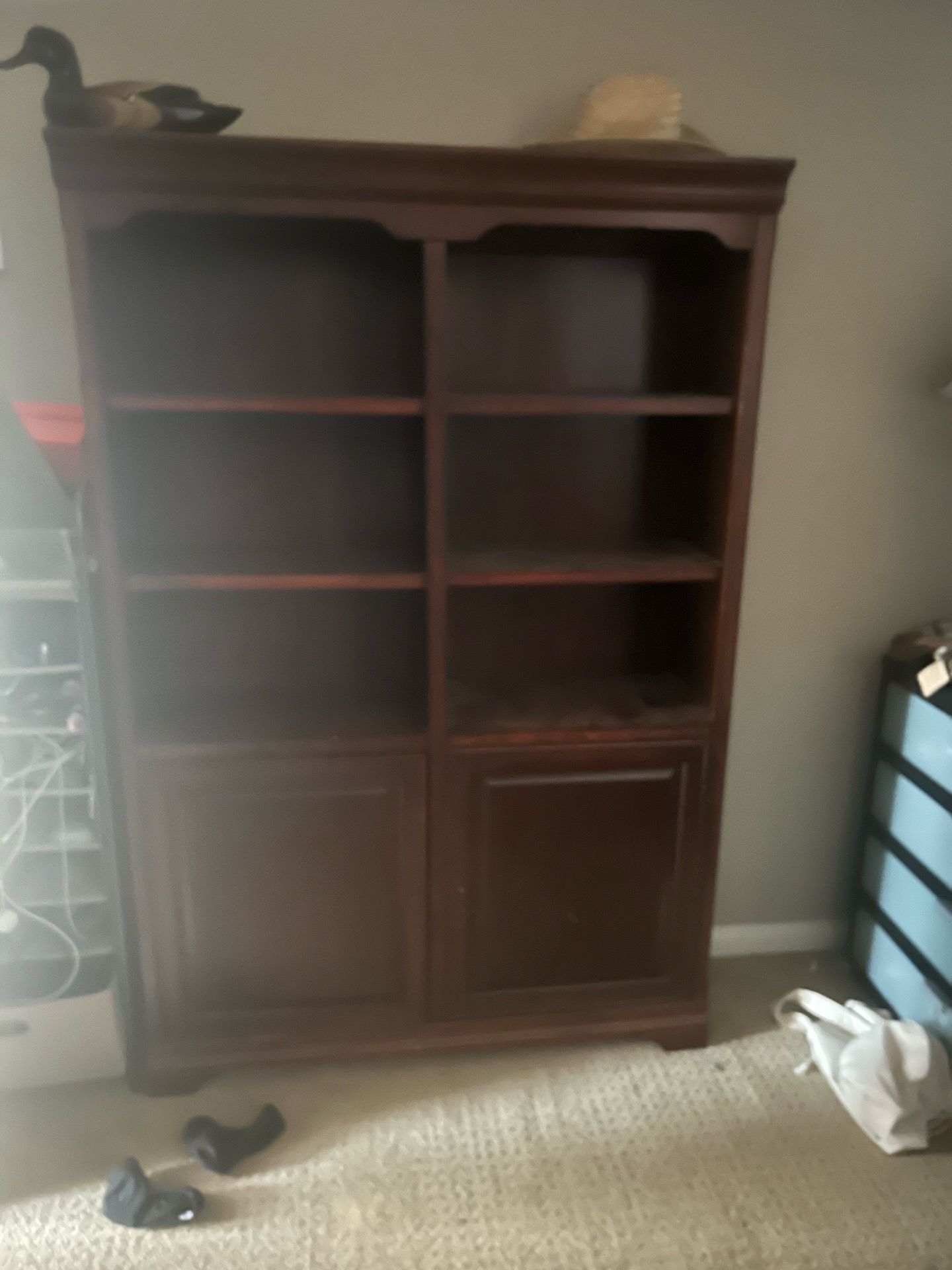 Bookshelves and cabinet