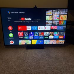 Sony XBR-65Z9D Flagship Television/ Govee LED Backlight 