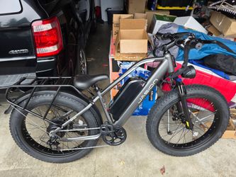 Electric Bike