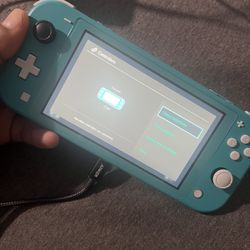 Switch lite