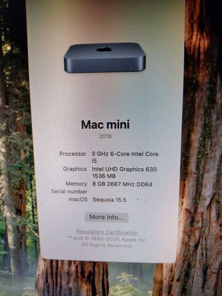 Apple Mac Mini
