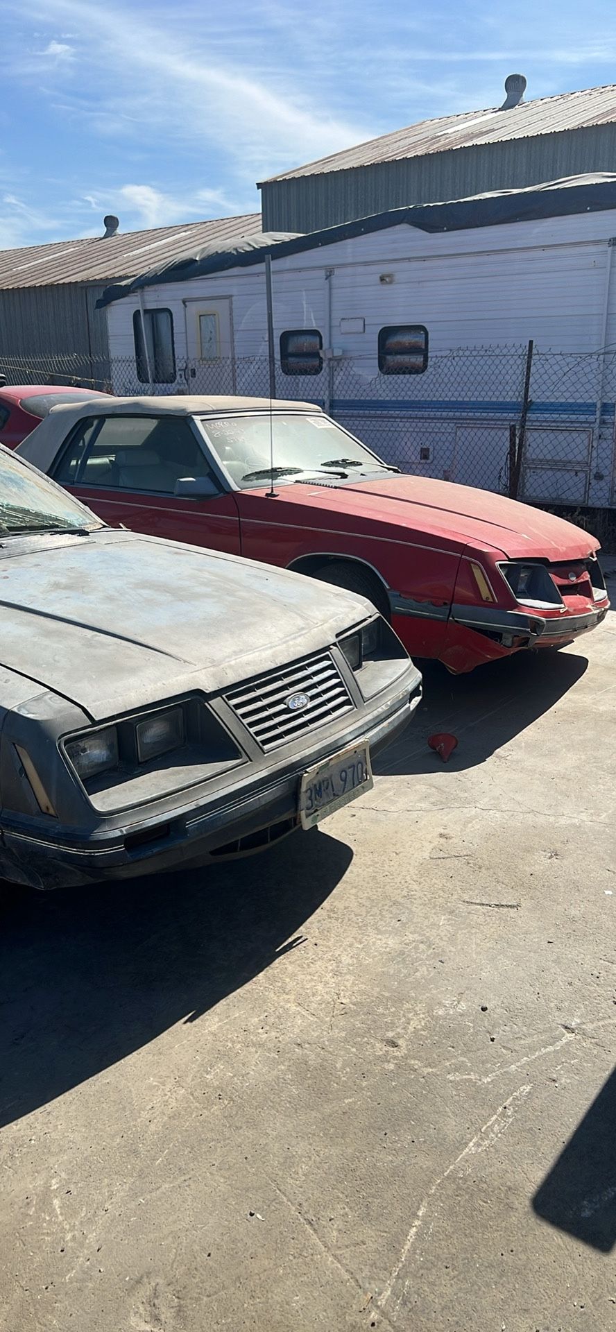1984 LX  Mustang Drop Top