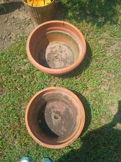 2 large flower pots