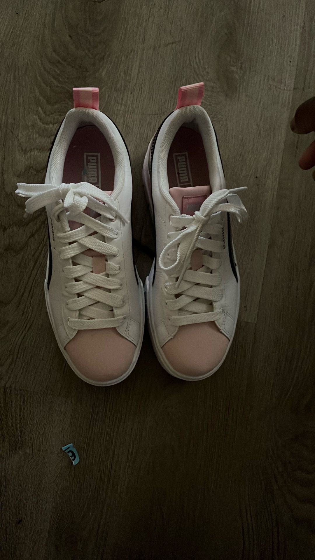 Pumas