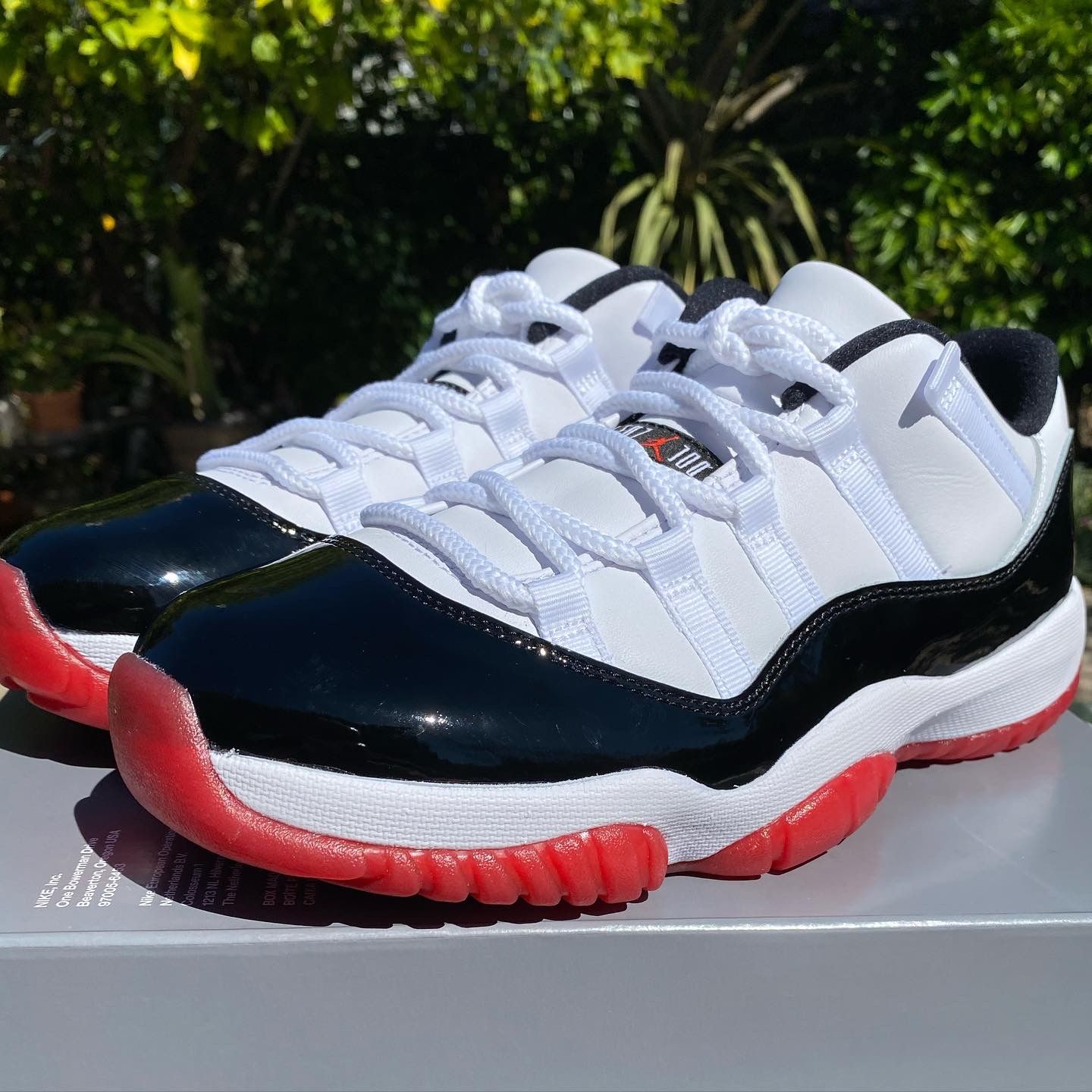 Air Jordan 11 Concord Bred Lows 7.5 Men’s