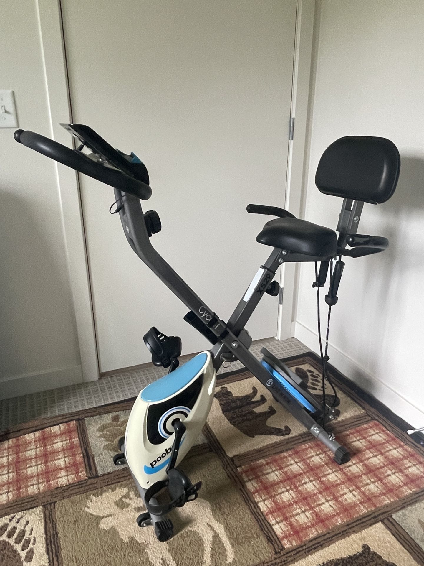 Fitness Bike
