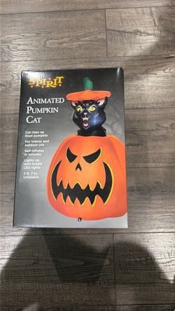 Spirit Animated Pumpkin Cat